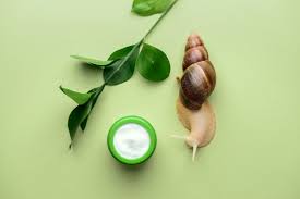 Series, realities, telenovelas, documentales y mucho más contenido de caracol televisión. Properties Benefits And Extraction Of Snail Slime Zaffiro Organica