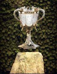 Triwizard Cup Harry Potter Goblet Harry Potter Wiki Triwizard
