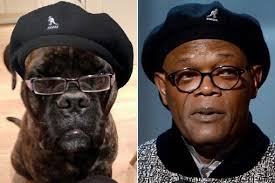 Renee Westgate-davalos (rdavalos)