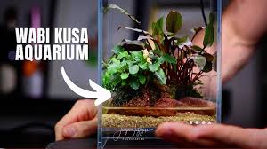 Nemophilists means one who is fond of forest or forest scenery. Wabi Kusa Aquarium Dooa Neo Glass Air 15x15x25 Youtube
