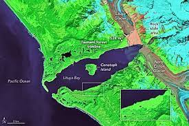 En la cerrada bahía de lituya un sismo de fuerte magnitud provoca la caída del glaciar lituya dentro de la bahía, lo que genera el megatsunami más alto conocido en la historia humana (ver tsunami de bahía lituya), que arrasó la costa hasta una altura de 520 m. 1958 Lituya Bay Earthquake And Megatsunami Wikipedia