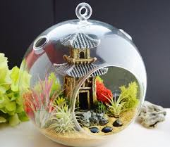Pin By Michele On Morethanateam Garden Terrarium Air Plants Japanese Garden