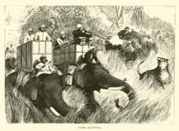 Tiger-Hunting in India by George ...