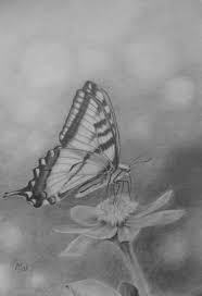 Butterfly on flower drawing realistic. Miroslav Sunjkic Pencil Drawings Miroslav Sunjkic Crtezi Olovkom Pencil Drawings Pencil Drawings Of Nature Butterfly Sketch