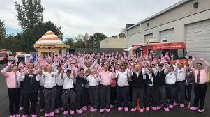 Pest control of india reviews on windows. Scherzinger Helps Raise Awareness For Breast Cancer Awareness Month Pct Pest Control Technology