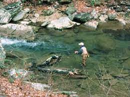 Tellico River Fishing Map Tellico River