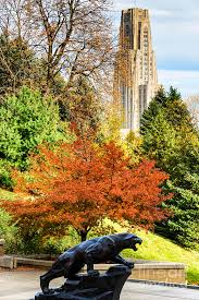 The cathedral of learning is a 42 story skyscraper that serves as the centerpiece of the university of pittsburgh's (pitt) main campus in the oakland neighborhood of pittsburgh, pennsylvania, united states. Pitt Panther And Cathedral Of Learning Photograph By Thomas R Fletcher