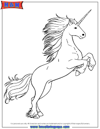 Free printable coloring pages unicorn coloring pages. Realistic Unicorn Coloring Pages Coloring Home