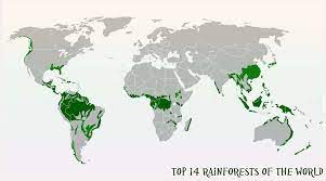 Maybe you would like to learn more about one of these? Top 14 Amazing Rainforests In The World Biology Explorer