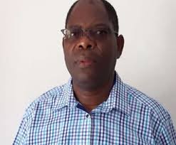 Image result for Pouzolzia mixta