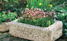 Pflanzgefasse Aus Beton Selber Machen Dekorative Pflanzgefasse Pflanzen Gartengestaltung Ideen