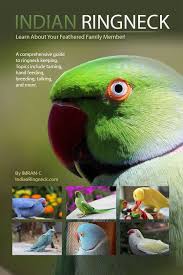 Feeding Your Indian Ringneck Indianringneck Com