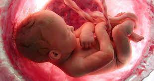 hamilelikte suyun azalmasi neden olur nasil engellenir anneler toplandik