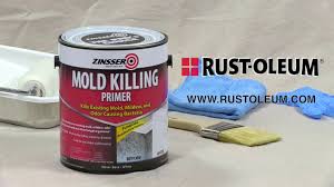 Dry time at 77°f (25°c), 50% rh. How To Apply Zinsser Mold Killing Primer Youtube