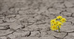 Hopes to find a job soon when is expect a more appropriate choice than hope? A Story Of Recovery Hope And Empowerment Olbios