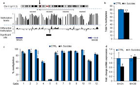 A ban on entering the u.s., including the revocation of existing visas and a refusal to issue new ones. Regulation Of Impulsive And Aggressive Behaviours By A Novel Lncrna Molecular Psychiatry