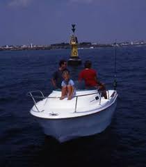 Image result for Grigio Antares 2011 156