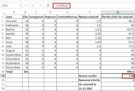 Vă vom contacta în decurs de 24 de ore. Ai Depus Bilantul Pentru 2017 Cum Se Calculeaza Numarul Mediu De Angajati Contabilitate Fiscalitate Monografii Contabile