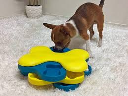 We did not find results for: Outward Hound Interactive Dog Toys Challenge Dogs To Find Treats