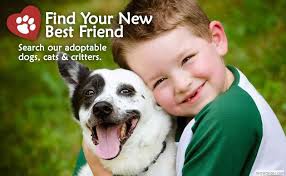 Over the years, angel adoption has been providing support, resources, and guidance to expectant mothers from. Welcome Randolph County Humane Society
