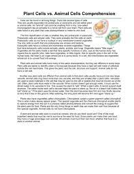 Check spelling or type a new query. Plant Vs Animal Cells