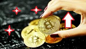 Newsbtc is a cryptocurrency news service that covers latest bitcoin news today, technical analysis & price for bitcoin and other altcoins. Xnipdcdywu4t6m