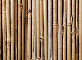 Potong bambu sesuai dengan keinginan anda. Cara Membuat Tirai Dari Bambu Yuso Tch