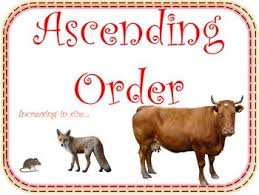 Ascending Order And Descending Order Math Posters For Your Math Word Wall Math Poster Math Words Math Word Walls