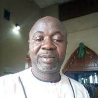 40+ "George Amadi" profiles