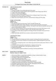 developer resume samples velvet jobs