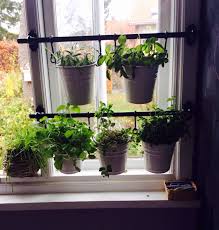 Pin By Joyce Peabody On Herb Garden Kitchen Window Sill Wall Herb Garden Indoor Indoor Herb Garden Window