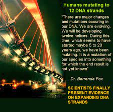 Pin By Tracy Bennett On Science Quantum Physics Dna Play Human Genome Spirit Science