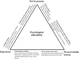 Three case studies exemplifying a unified. Psychological Flexibility An Overview Sciencedirect Topics