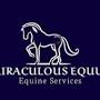 Miraculous Equus from www.myaushorse.com