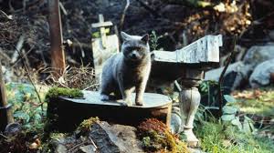 Louis creed, his wife rachel and their two children gage and ellie move to a rural home where they are welcomed and enlightened about the eerie 'pet sematary' located nearby. Pet Sematary Netflix