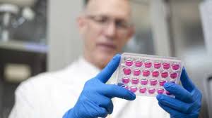 Mayo Clinic empieza el desarrollo de una vacuna contra el virus del Zika