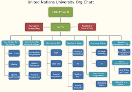 united nations university org chart