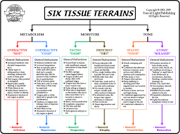 The Six Tissue States