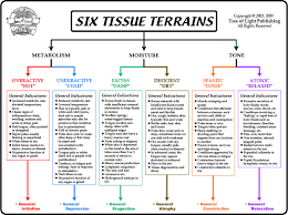 the six tissue states