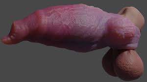 Fantasy Werewolf Penis Sheath - 3D Model by TriDsign