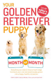 Choose micro goldendoodle mini goldendoodle medium goldendoodle standard goldendoodle golden retriever. Your Golden Retriever Puppy Month By Month Everything You Need To Know At Each Stage To Ensure Your Cute And Playful Puppy Your Puppy Month By Month Albert Terry Eldredge Dvm Debra