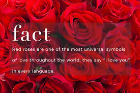 Extreme betrayal, a broken heart, infidelity, jealousy. Know Your Rose Meanings Give The Right Rose Fresh By Ftd