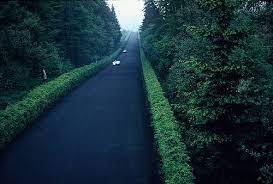 Want another music and better image quality ? The Exciting Straightaway Nurburgring Germany 1960 Photo Riding Image