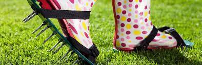 Since then, we have continuously refined the process to deliver the best results. A Guide To Using A Lawn Aerator Lovethegarden