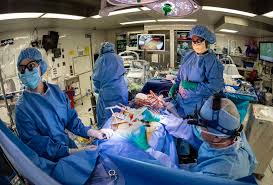 Sandra Atlas Bass Heart Hospital Achieves Nation S Highest Overall Quality Rating In Cardiac Surgery Northwell Health