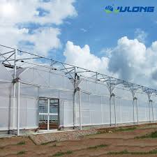 Orchids on a small carport green roofs appeared in the first few years. China Arch Roof Type Cheap Greenhouse Orchid Greenhouse Pvc Pipe Greenhouse China Greenhouse Film Greenhouse