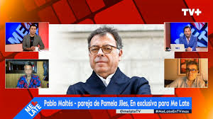 El resultado de la candidatura de maltés permitirá a la diputada sacar conclusiones. Pareja De Pamela Jiles Tras Acusaciones De Marcelo Rios Esta Amparado En Una Suerte De Operacion