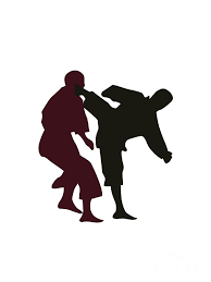 Check spelling or type a new query. Silhouettes Of Martial Artists Fighting Digital Art By Idan Badishi