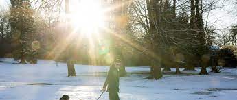 Plantentuin meise, een 92 hectare grote groene oase, vlak bij brussel, waar 18.000 update 24 march: Im Winter Unterwegs Mit Konig Amaryllo Plantentuin Meise