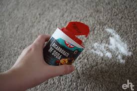 Baking soda, salt and lemon essential oil make a great natural solution for combating pesky fleas by eliminating any flea eggs and repelling existing fleas. How To Get Rid Of Fleas Naturally 6 Simple Ways To Get Those Bugs Expert Home Tips
